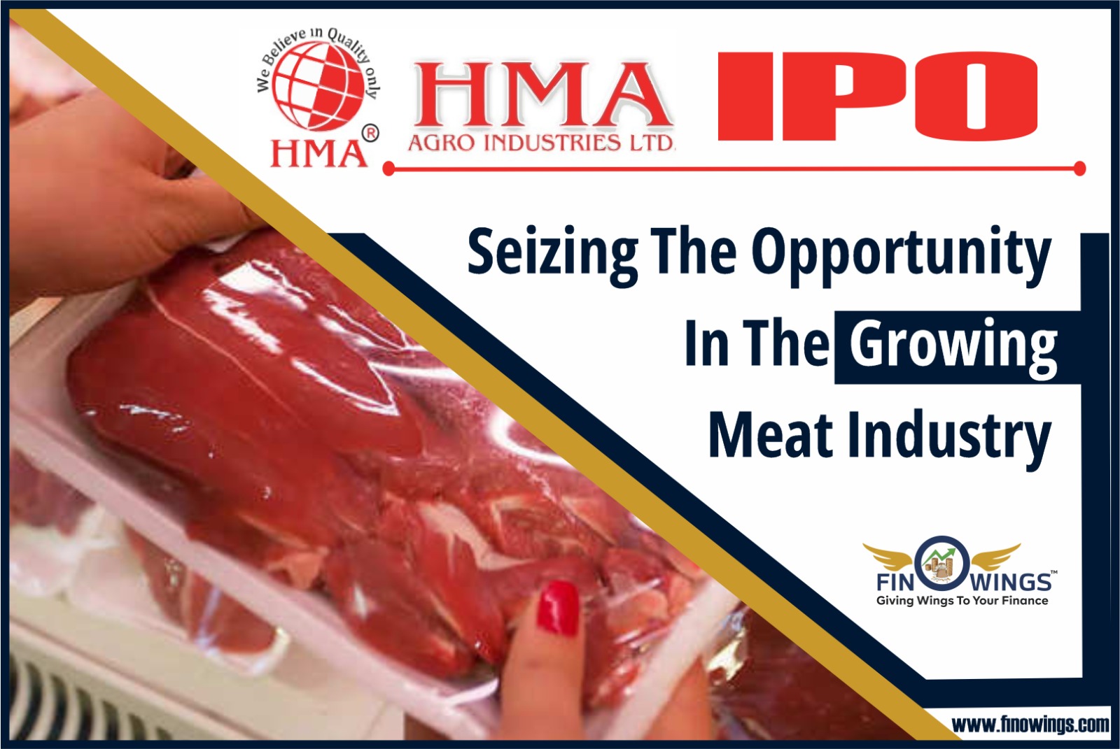 HMA Agro Industry IPO